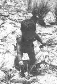 C:\Users\invitado1\Pictures\AFRICA Betammaribe Somba\39 fao.jpg