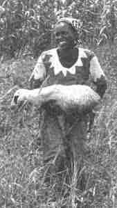 C:\Users\invitado1\Pictures\AFRICA Betammaribe Somba\38 benin fao 3.jpg