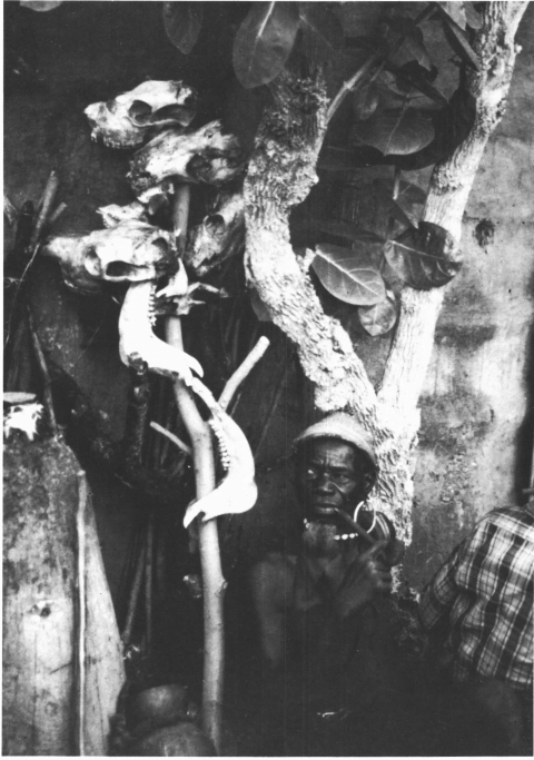 Tiyoti: la "suciedad" de los muertos