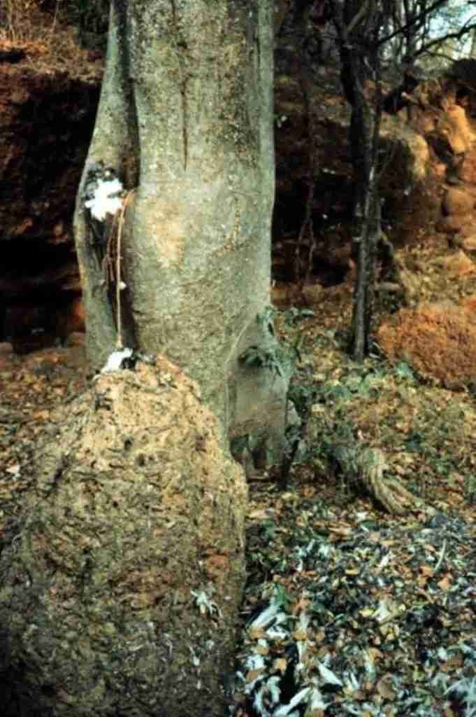 antepasados en Burkina Faso