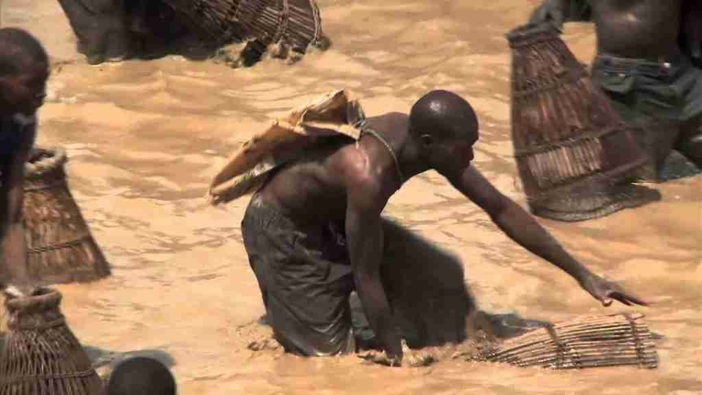 inicio festival Antogo
