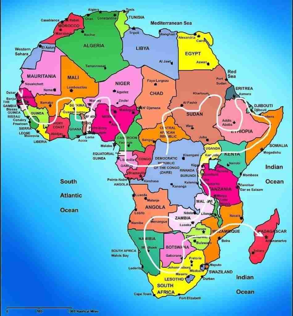 Ecarificaciones torsos