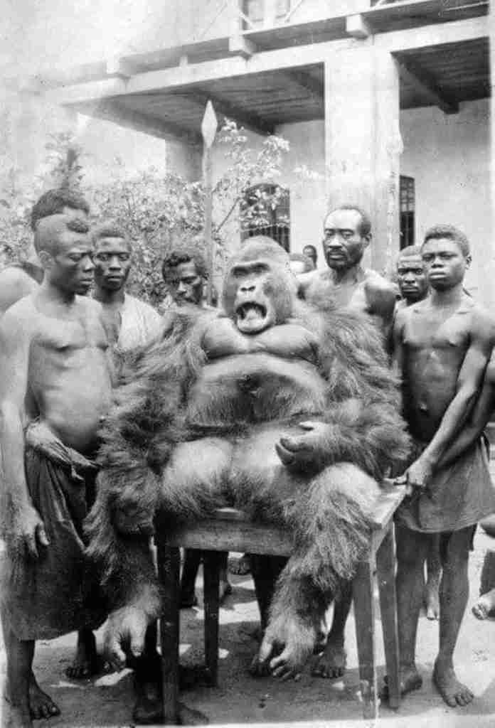 sociedad vuvi en Gabón