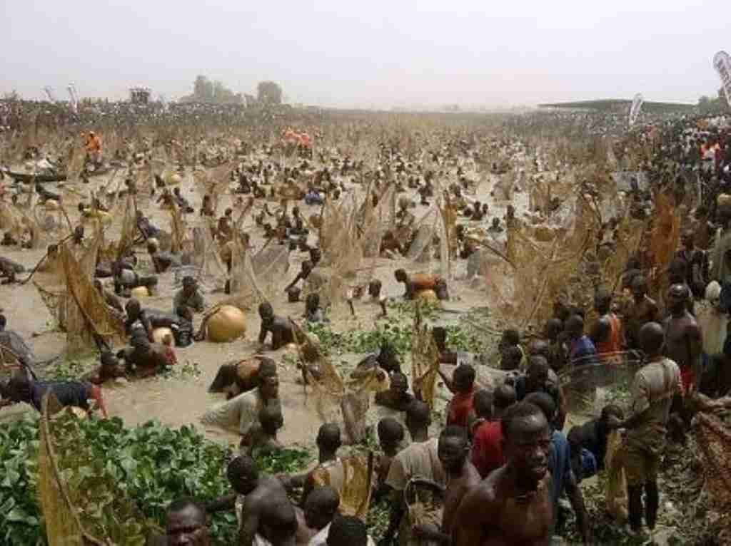 inicio festival Antogo