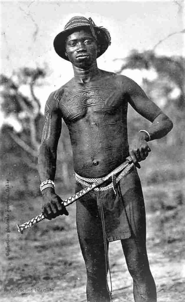 Ecarificaciones torsos