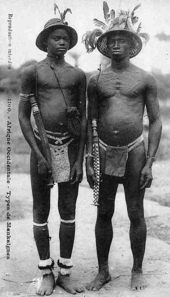 Ecarificaciones torsos