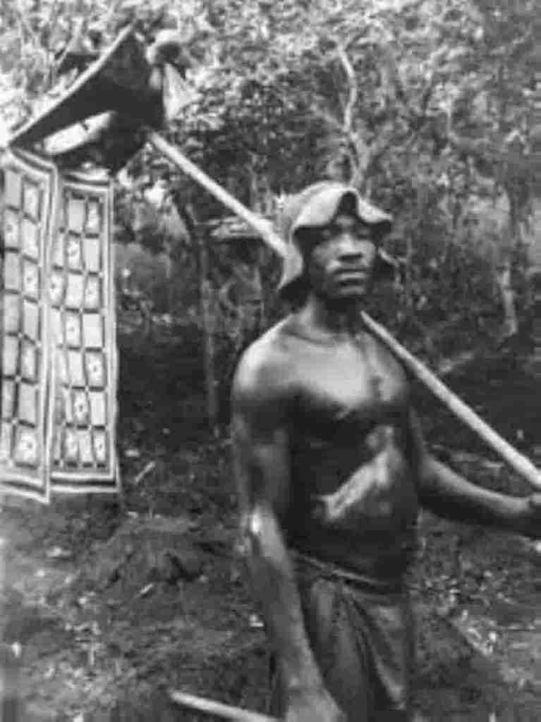 Organización social de los Senufos