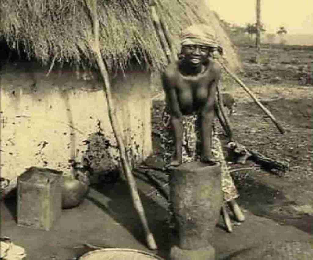 estructura social de los Senufo