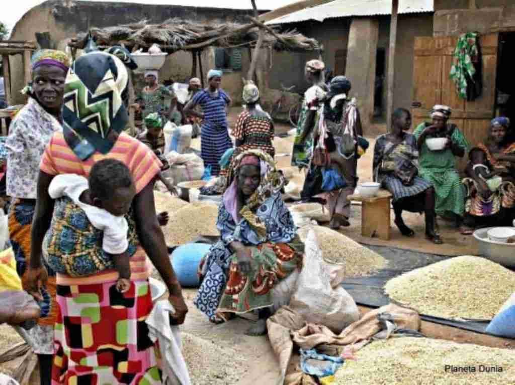 economía de los senufo