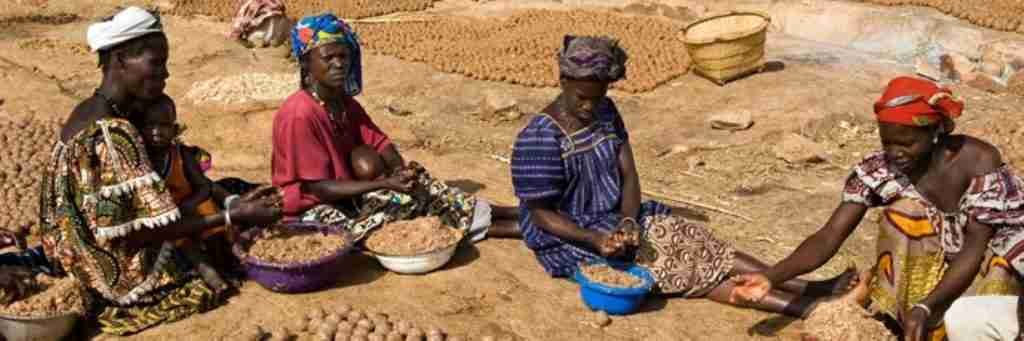Economía Dogón