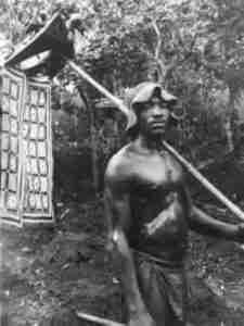 Organización social de los Senufos