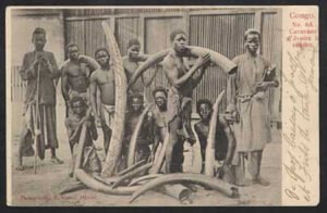 agriculturo de los Kongo