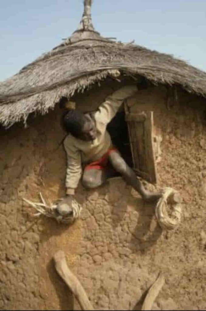 Variedad étnica dogón