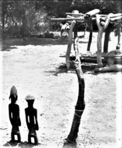 El Poro entre los Senufo de Costa de Marfil