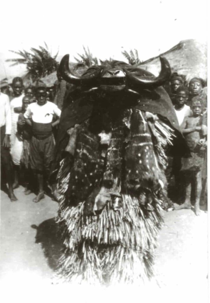 Figura 13 - Máscara de búfalo Tabwa   