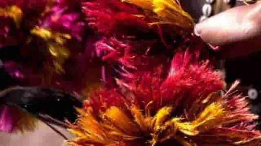 antropología africana y arte africano